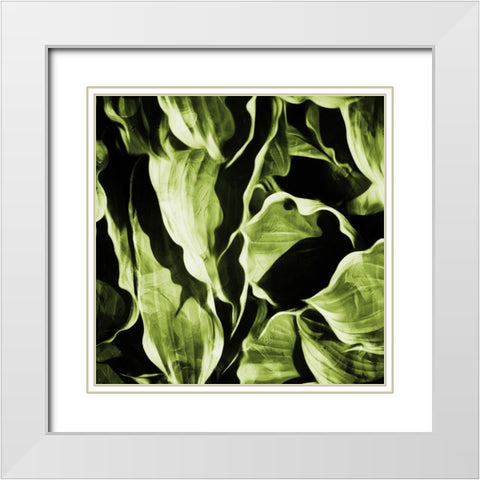 Green Hue Leaves White Modern Wood Framed Art Print with Double Matting by Villa, Mlli