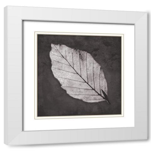 Classic Leaf White Modern Wood Framed Art Print with Double Matting by Villa, Mlli
