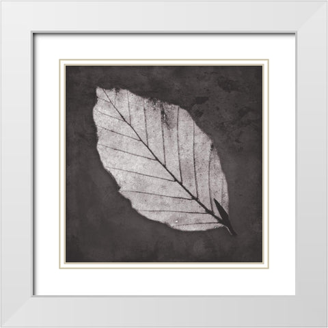 Classic Leaf White Modern Wood Framed Art Print with Double Matting by Villa, Mlli
