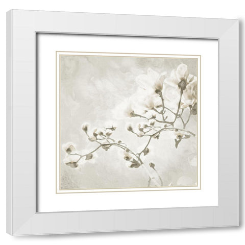 Cream Tree of White Flowers 1 White Modern Wood Framed Art Print with Double Matting by Villa, Milli