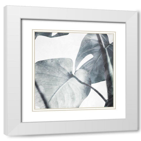 Both Relaxing Off The Stem Stone White Modern Wood Framed Art Print with Double Matting by Villa, Milli