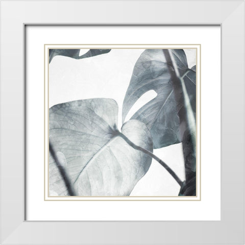 Both Relaxing Off The Stem Stone White Modern Wood Framed Art Print with Double Matting by Villa, Milli