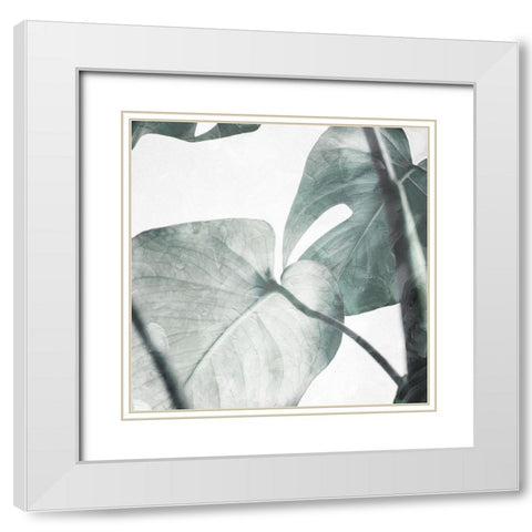 Both Relaxing Off The Stem White Modern Wood Framed Art Print with Double Matting by Villa, Mlli
