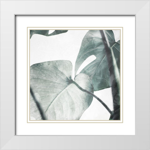Both Relaxing Off The Stem White Modern Wood Framed Art Print with Double Matting by Villa, Mlli
