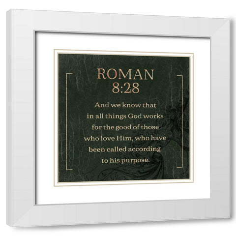 Roman Swamp White Modern Wood Framed Art Print with Double Matting by Villa, Milli