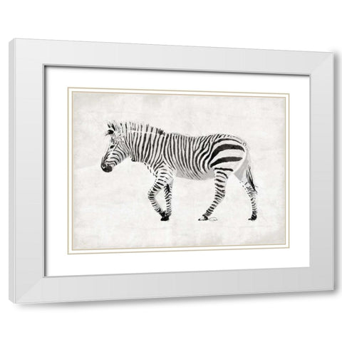 Zebra White Modern Wood Framed Art Print with Double Matting by OnRei