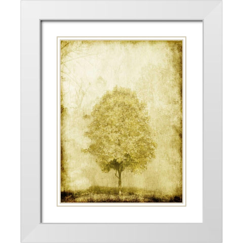 Golden Tree White Modern Wood Framed Art Print with Double Matting by OnRei