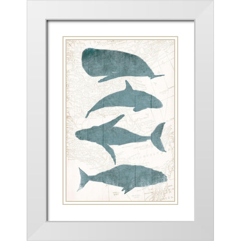 Sea Life White Modern Wood Framed Art Print with Double Matting by OnRei