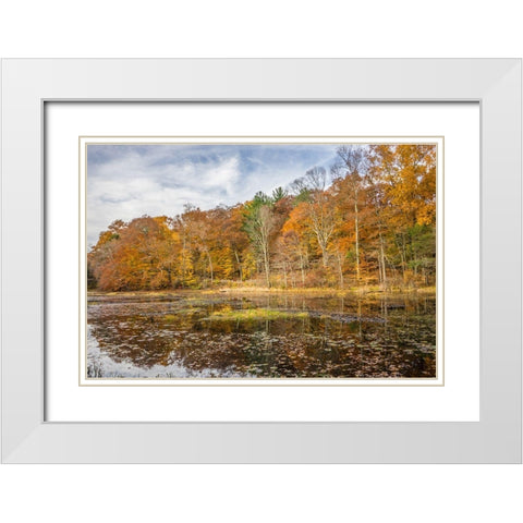 Over The Grove White Modern Wood Framed Art Print with Double Matting by Orlando