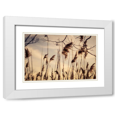 No Worries White Modern Wood Framed Art Print with Double Matting by Orlando