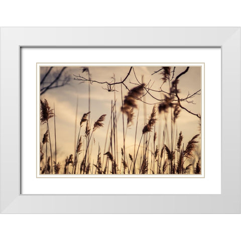 No Worries White Modern Wood Framed Art Print with Double Matting by Orlando