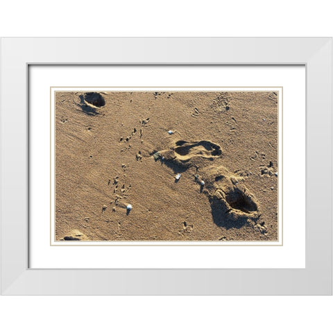 Foot Prints White Modern Wood Framed Art Print with Double Matting by Orlando