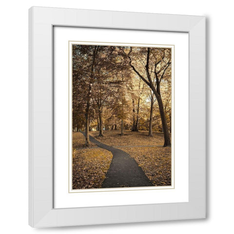 Wooded Path White Modern Wood Framed Art Print with Double Matting by Orlando