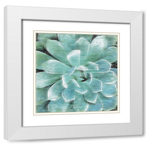 Succulent Memory 1 White Modern Wood Framed Art Print with Double Matting by Pearson, Debbie