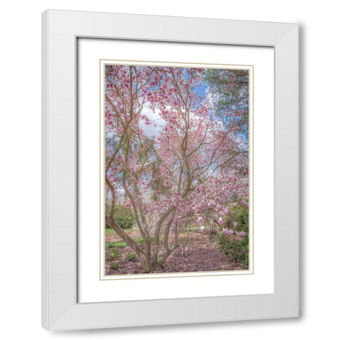 Switch Of Independence White Modern Wood Framed Art Print with Double Matting by DeLuca, Pat