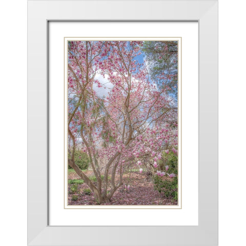 Switch Of Independence White Modern Wood Framed Art Print with Double Matting by DeLuca, Pat