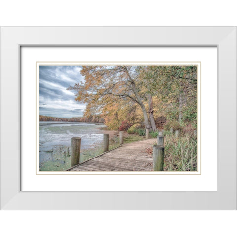 Blydenburg Park White Modern Wood Framed Art Print with Double Matting by DeLuca, Pat