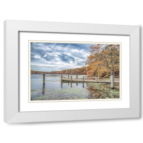Blydenburg Park 2 White Modern Wood Framed Art Print with Double Matting by DeLuca, Pat