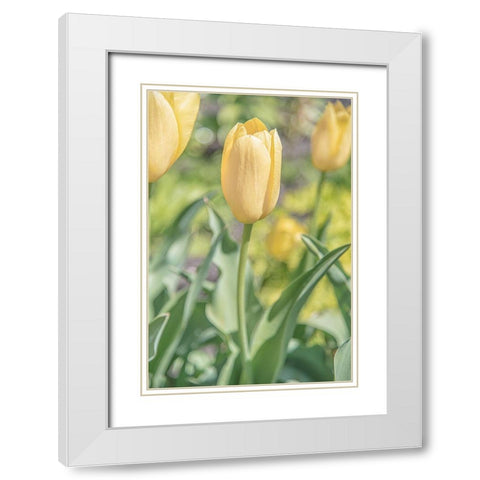 Obsequious Traditions White Modern Wood Framed Art Print with Double Matting by DeLuca, Pat