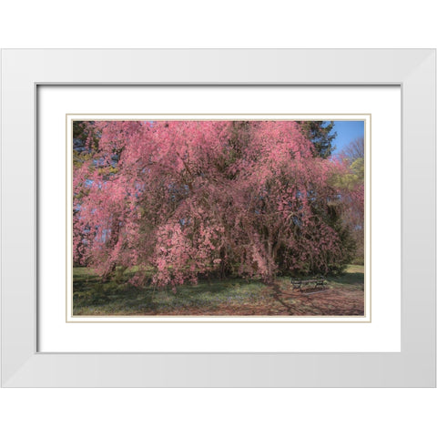 Spectacular Message White Modern Wood Framed Art Print with Double Matting by DeLuca, Pat