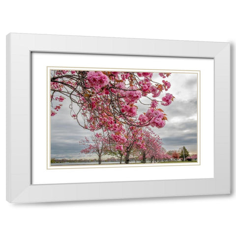 Spiritual Switch 1 White Modern Wood Framed Art Print with Double Matting by DeLuca, Pat