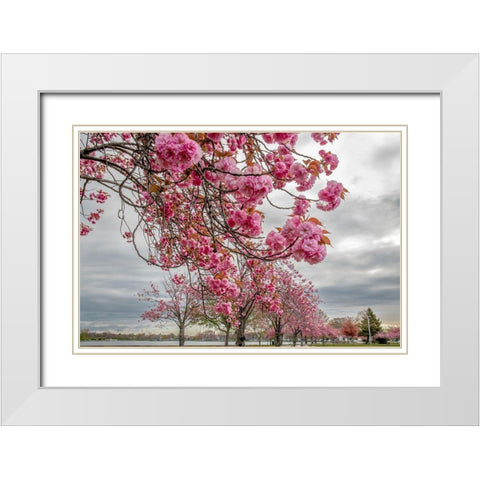 Spiritual Switch 1 White Modern Wood Framed Art Print with Double Matting by DeLuca, Pat