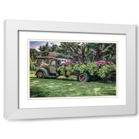 Sympathy Of Generosity White Modern Wood Framed Art Print with Double Matting by DeLuca, Pat