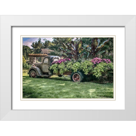 Sympathy Of Generosity White Modern Wood Framed Art Print with Double Matting by DeLuca, Pat