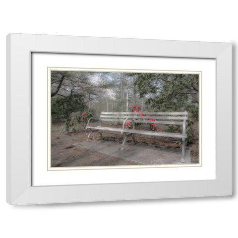 Familiar Romance White Modern Wood Framed Art Print with Double Matting by DeLuca, Pat