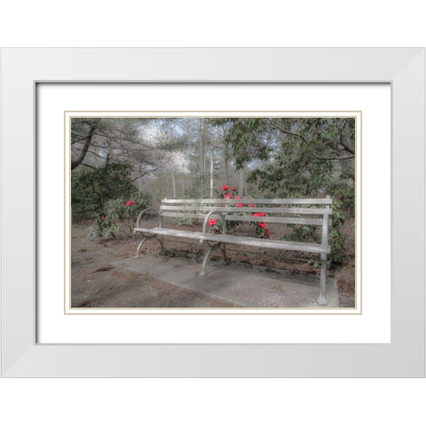 Familiar Romance White Modern Wood Framed Art Print with Double Matting by DeLuca, Pat