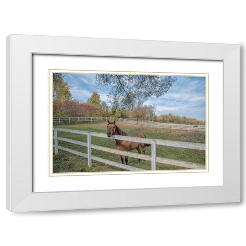 Perseverance Of Amazement White Modern Wood Framed Art Print with Double Matting by DeLuca, Pat