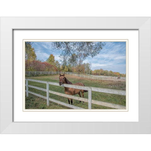 Perseverance Of Amazement White Modern Wood Framed Art Print with Double Matting by DeLuca, Pat