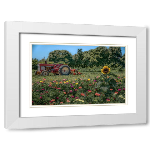 James Port White Modern Wood Framed Art Print with Double Matting by DeLuca, Pat
