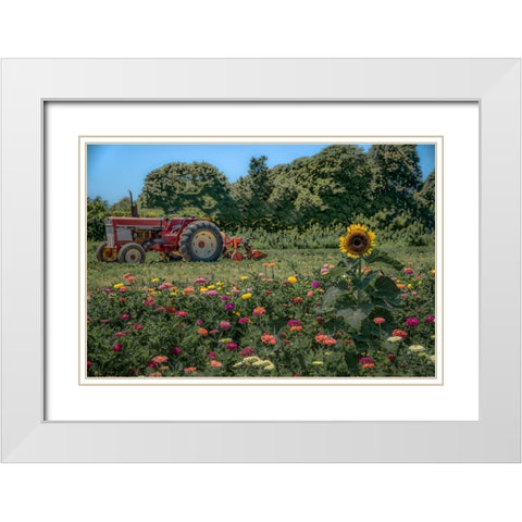 James Port White Modern Wood Framed Art Print with Double Matting by DeLuca, Pat