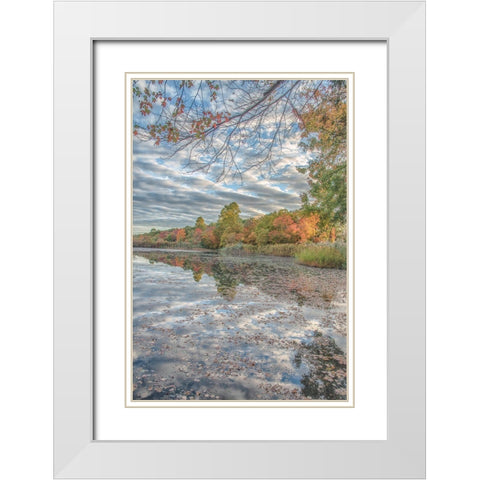 Bayport Fall White Modern Wood Framed Art Print with Double Matting by DeLuca, Pat