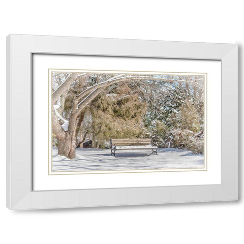 Arboretum 1 White Modern Wood Framed Art Print with Double Matting by DeLuca, Pat