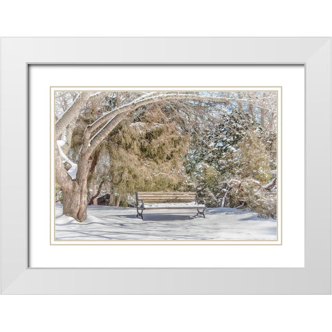 Arboretum 1 White Modern Wood Framed Art Print with Double Matting by DeLuca, Pat