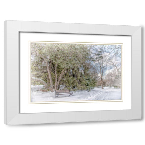 Arboretum 2 White Modern Wood Framed Art Print with Double Matting by DeLuca, Pat
