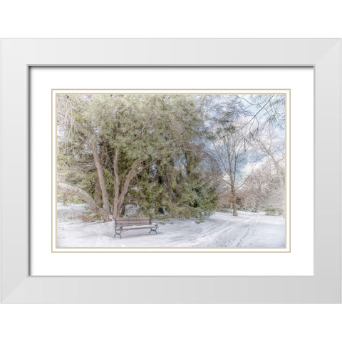 Arboretum 2 White Modern Wood Framed Art Print with Double Matting by DeLuca, Pat