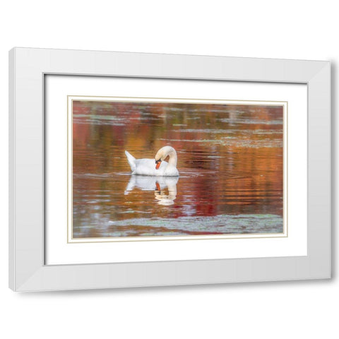 Mill Pond October White Modern Wood Framed Art Print with Double Matting by DeLuca, Pat
