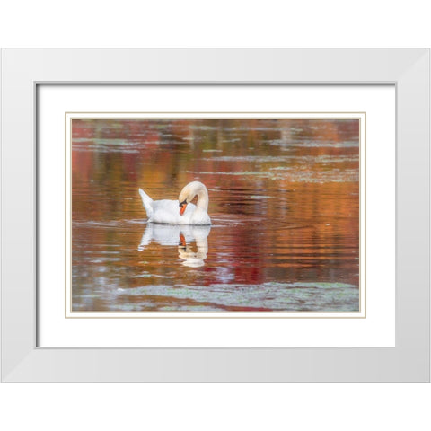 Mill Pond October White Modern Wood Framed Art Print with Double Matting by DeLuca, Pat