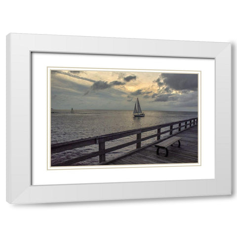 Cedar Beach White Modern Wood Framed Art Print with Double Matting by DeLuca, Pat