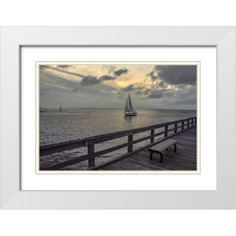 Cedar Beach White Modern Wood Framed Art Print with Double Matting by DeLuca, Pat