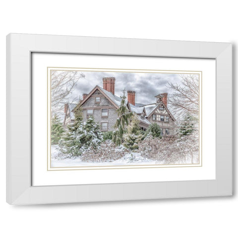 Aboretum December 1 White Modern Wood Framed Art Print with Double Matting by DeLuca, Pat