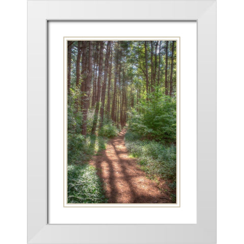 Hollow Fall White Modern Wood Framed Art Print with Double Matting by DeLuca, Pat