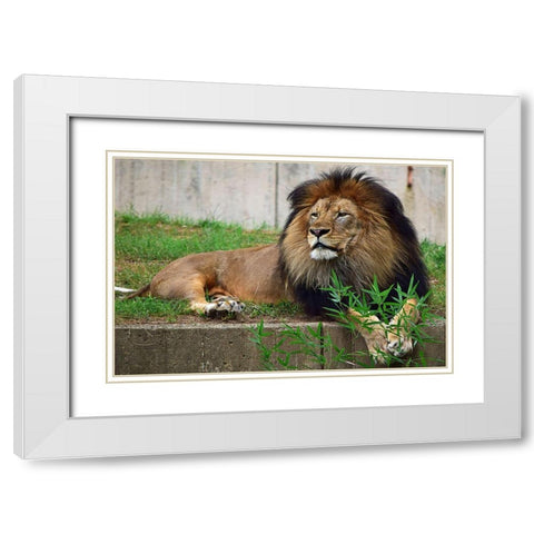 Brilliant Direction White Modern Wood Framed Art Print with Double Matting by DeLuca, Pat