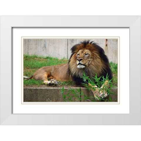 Brilliant Direction White Modern Wood Framed Art Print with Double Matting by DeLuca, Pat