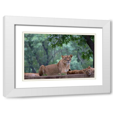 Pride Of Purpose White Modern Wood Framed Art Print with Double Matting by DeLuca, Pat