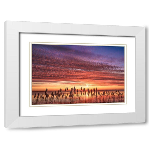 Familiar Romance White Modern Wood Framed Art Print with Double Matting by DeLuca, Pat