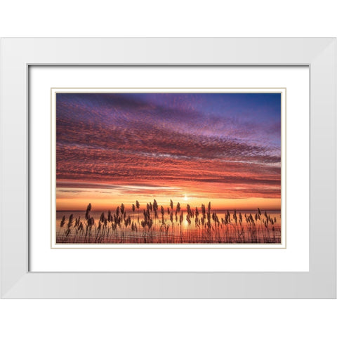 Familiar Romance White Modern Wood Framed Art Print with Double Matting by DeLuca, Pat
